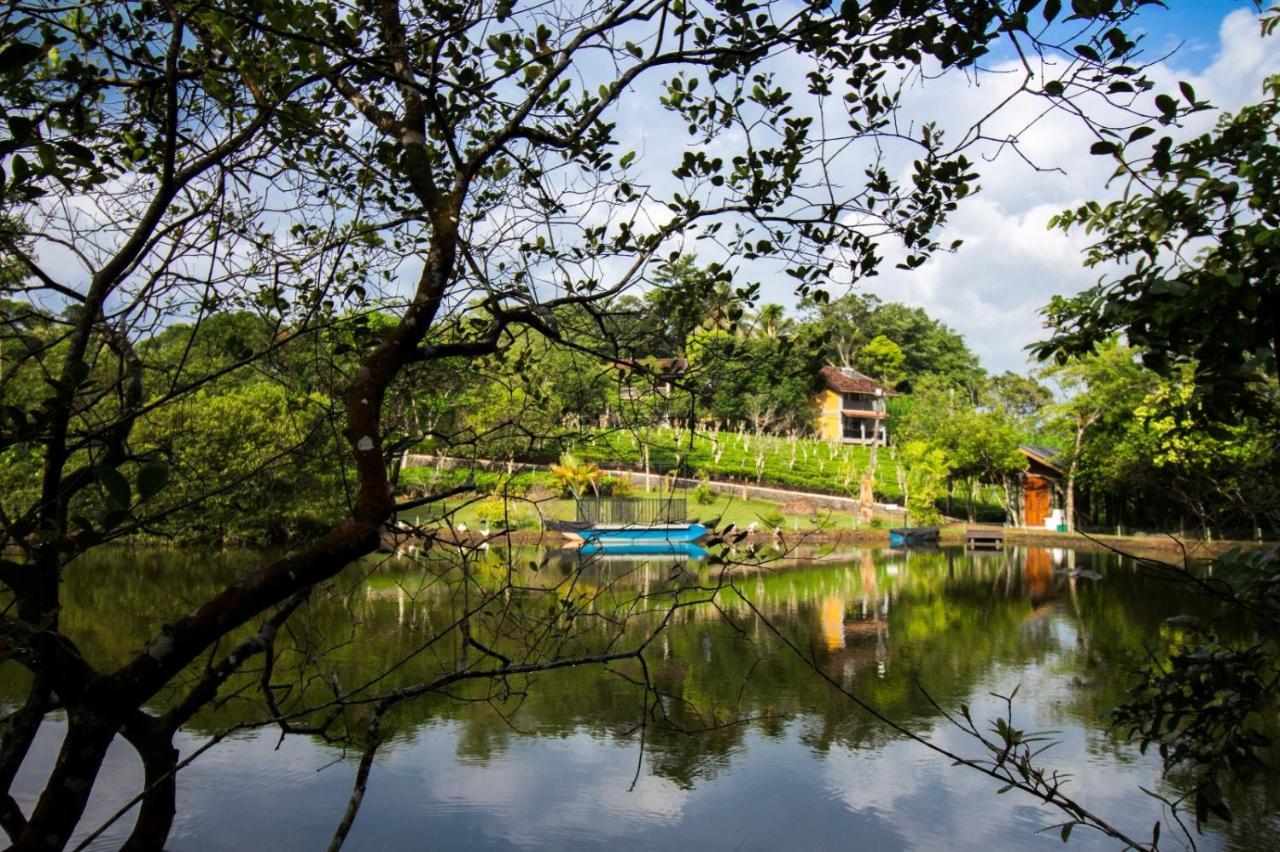 Lake Serenity Resort & Spa Kuruwita Buitenkant foto